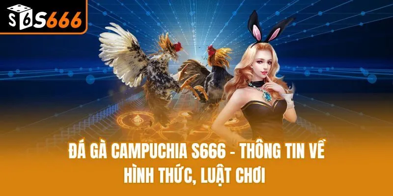 Đá Gà Campuchia S666 - Thông Tin Về Hình Thức, Luật Chơi Đá Gà Campuchia S666 - Thông Tin Về Hình Thức, Luật Chơi